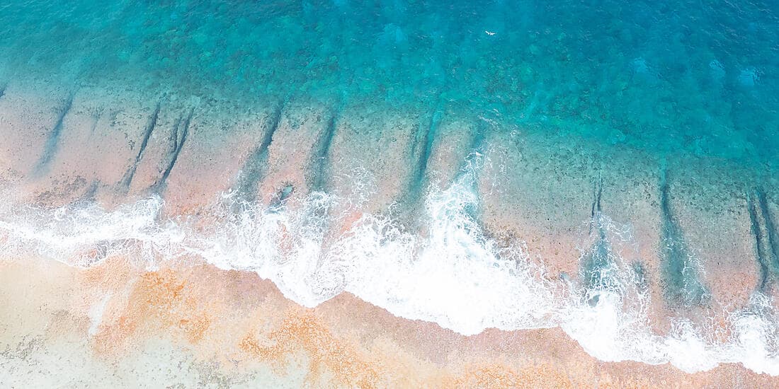 Society Islands & The Tuamotus