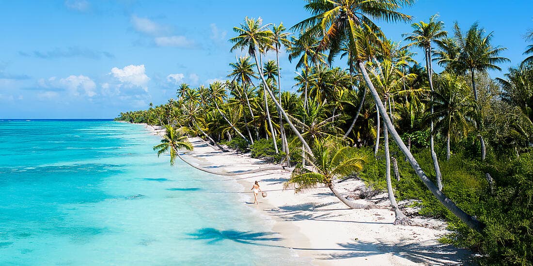 Society Islands & The Tuamotus